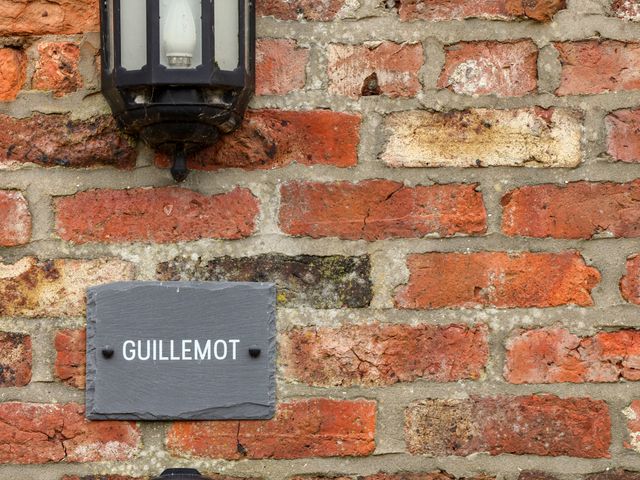 Guillemot - 1145153 - photo 2