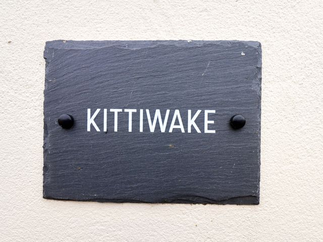 Kittiwake - 1145158 - photo 5