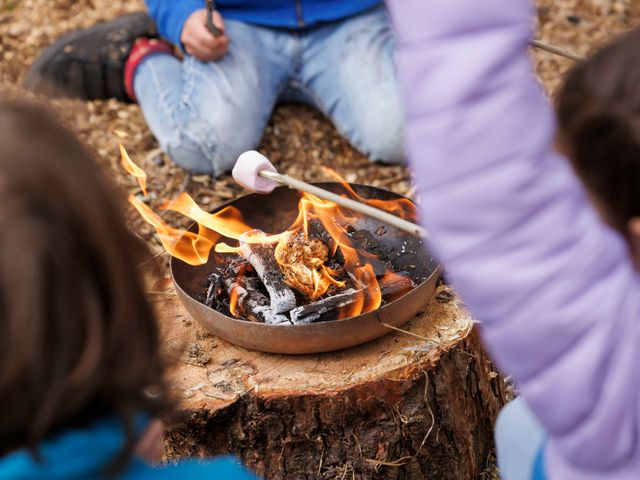 A fire in a pot with marshmallows being roasted outdoors at Deerpark Classic Golden Oak Waterside Deerpark Forest