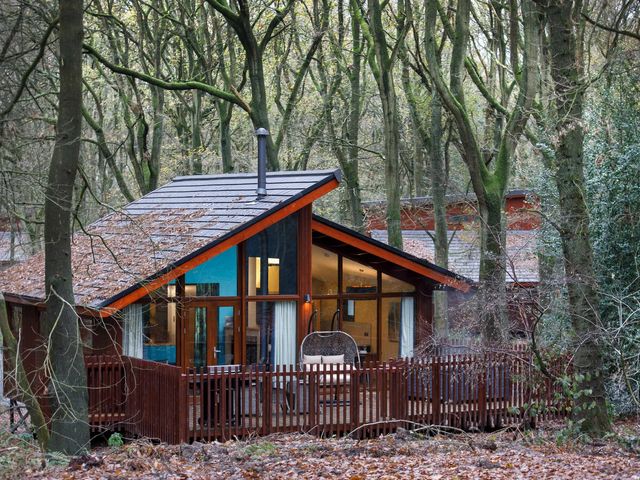 Glentress Forest Golden Oak Hideaway - 1147181 - photo 1