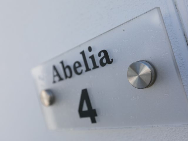 Abelia - 1149491 - photo 3
