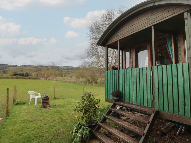 A wooden hut with green fence and steps leading to the door on a grassy field with a white chair and kettle on an outdoor stove at Harri's Hut in Bishop's Lydeard