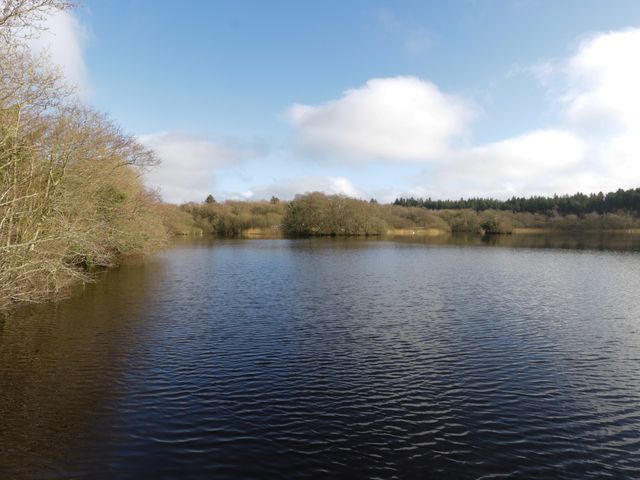 Swan Lake - 1150018 - photo 2