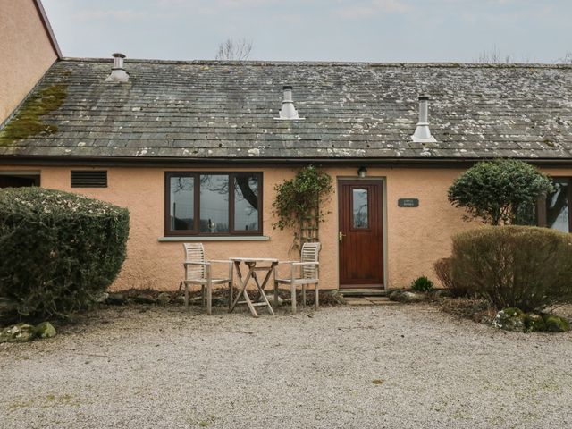 Little Winder - 1150899 - photo 2
