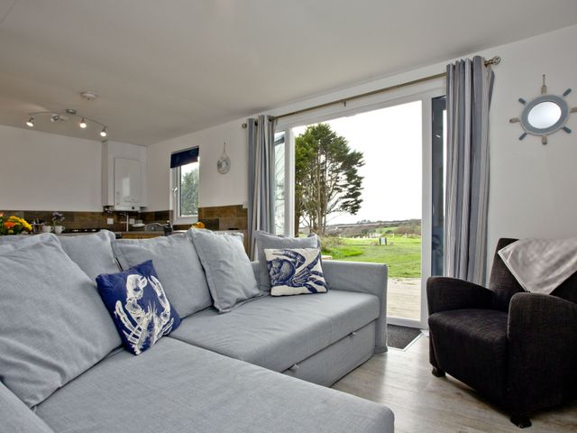 Wheal Tor Lodge - 1151387 - photo 3