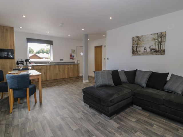 Classic Lodge 25 - 1151688 - photo 2