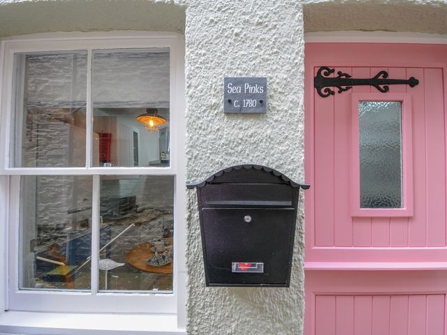 Sea Pinks - 1154480 - photo 2