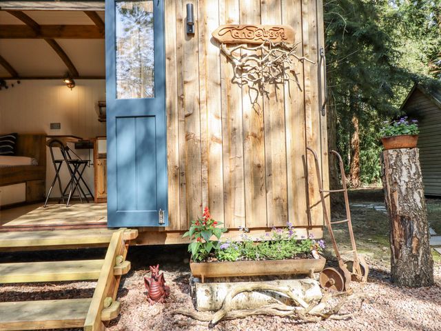 Tanglewood Shepherds Hut - 1154515 - photo 3