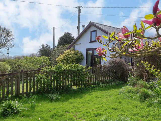 Dolphin Bach - 1154634 - photo 3