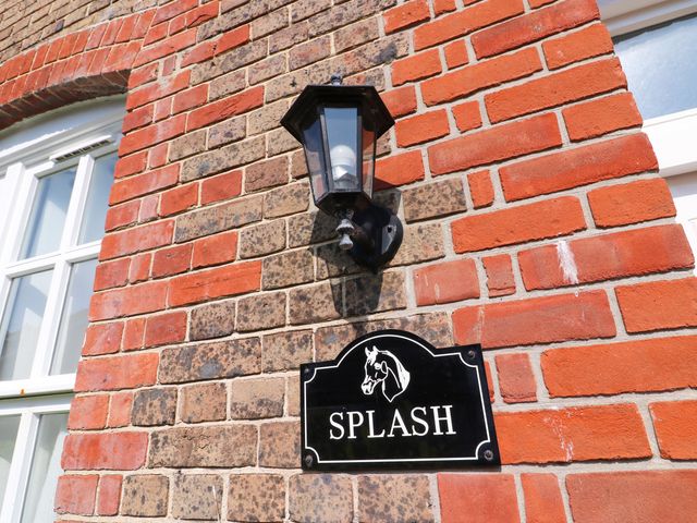 Splash - 1154894 - photo 3