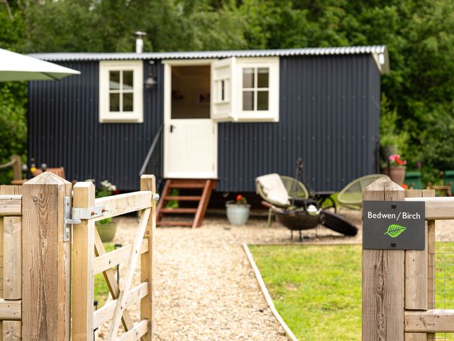 Bedwen - 1155156 - photo 3