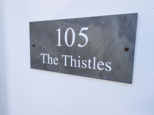 The Thistles - 1156012 - photo 3