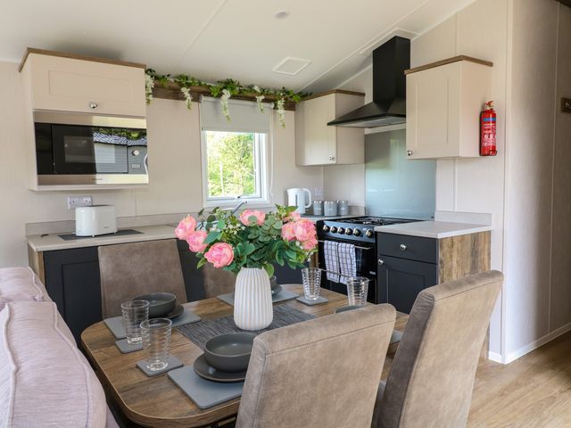 Swan Lodge - 1156767 - photo 4