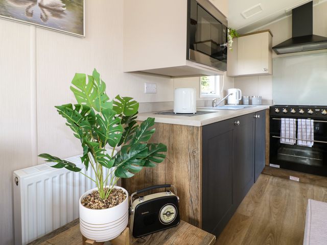 Swan Lodge - 1156767 - photo 5