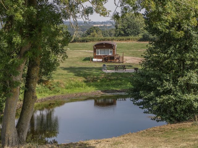 A cabin near a pond with outdoor seating at Hollie in Raglan