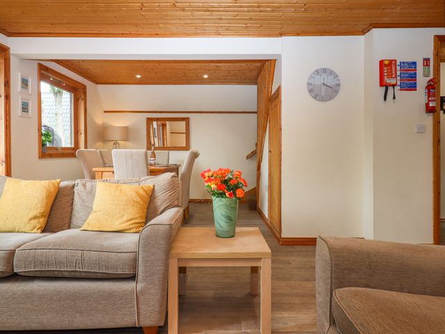 Lodge 45 - Lazy Bear - 1157854 - photo 3