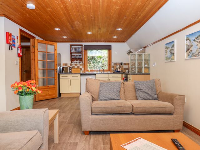 Lodge 45 - Lazy Bear - 1157854 - photo 4
