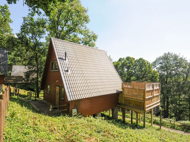 Lodge 47 - Primrose Lodge - 1157857 - photo 2