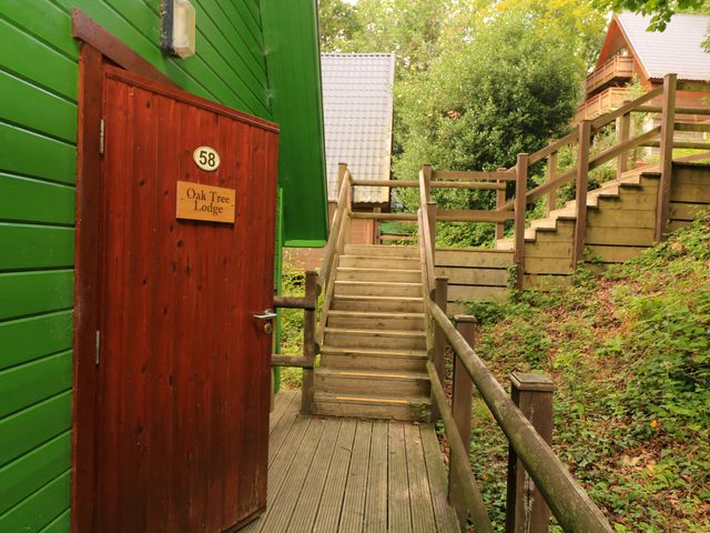 Lodge 58 - Oak Tree Lodge - 1157859 - photo 4