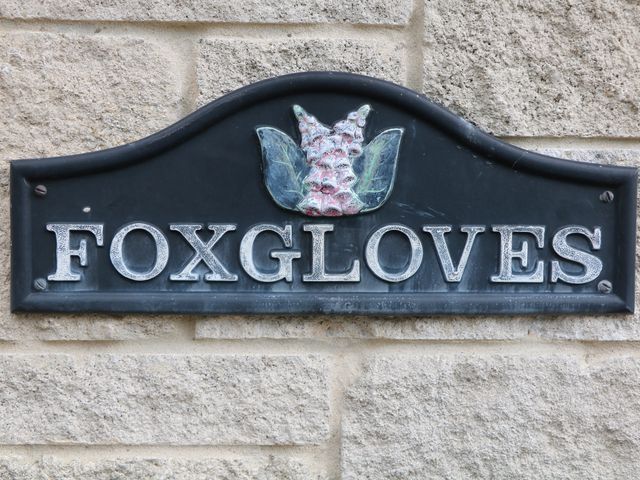 Foxgloves - 1158774 - photo 3