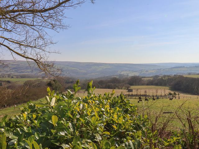 Roding Cottage - 1159604 - photo 3