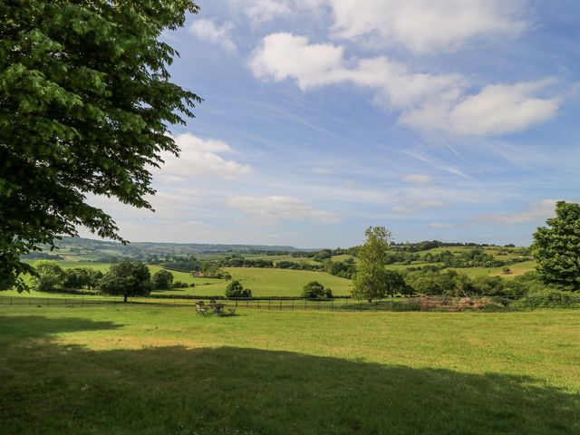 Blue Bell - 1159989 - photo 4