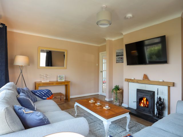 Rhedyn - 1160102 - photo 3