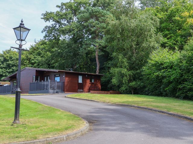 A wooden cabin with a small deck near a curved paved driveway and lamppost surrounded by trees and grass at Cowslip in Saltburn-By-The-Sea