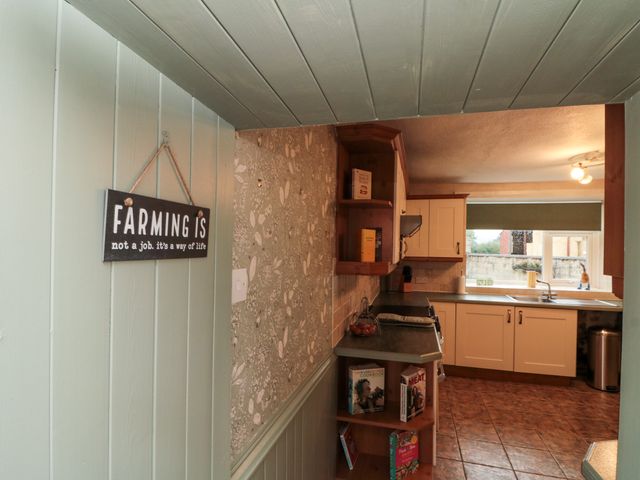 Bellmanear Farm Cottage - 1160988 - photo 5