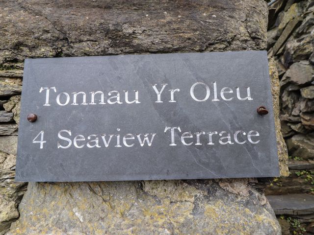 Tonnau Yr Oleu or “ Waves of Light” - 1161441 - photo 3