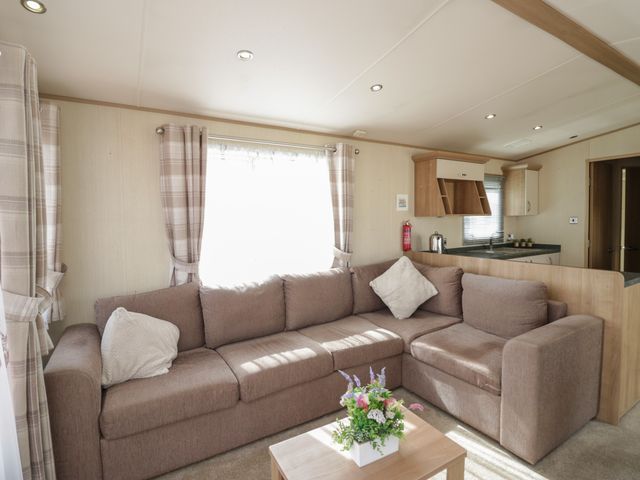 Hazel - 1163378 - photo 3