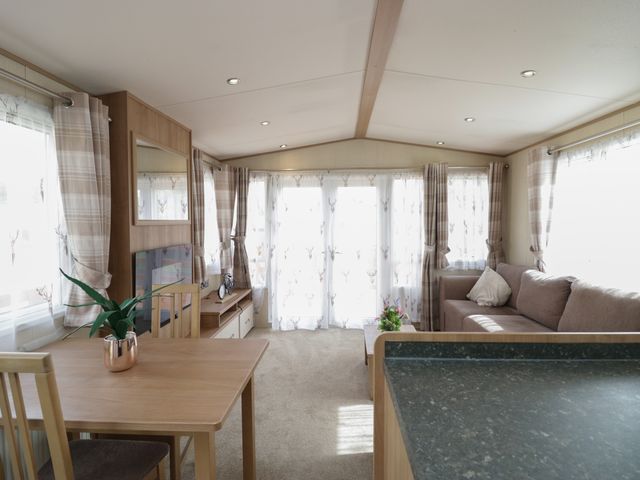 Hazel - 1163378 - photo 5