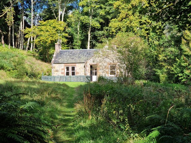 A cottage surrounded by greenery at Gunroom Cottage in Castle Leod near Strathpeffer