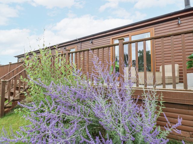 Butterfly Lodge - 1163914 - photo 3