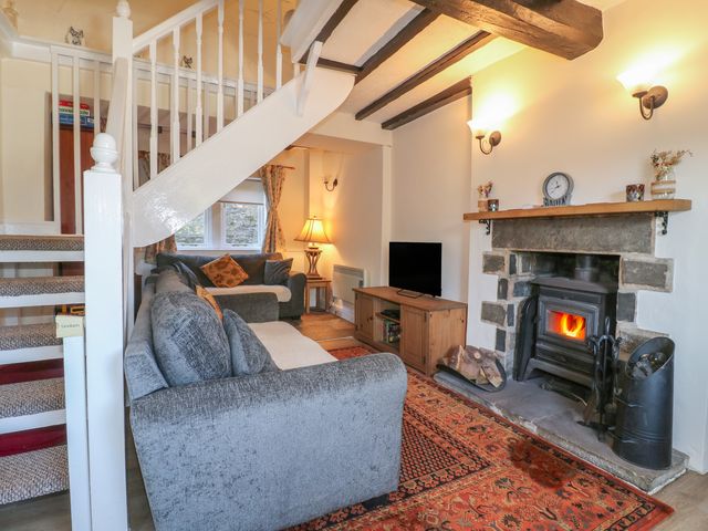 Coniston Cottage - 1164105 - photo 2