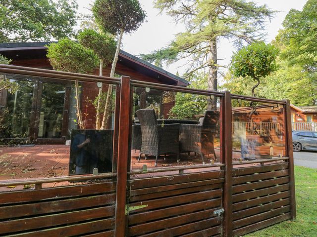 Tree House, Partial Lake Views Pet Friendly - 1164164 - photo 3