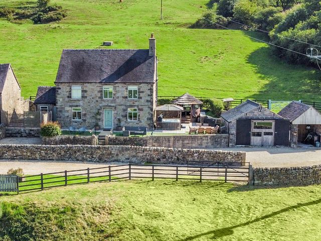 HollyDale - 1164383 - photo 1 