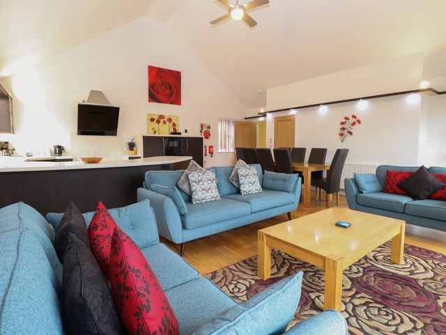 Reedlings - 1164549 - photo 4