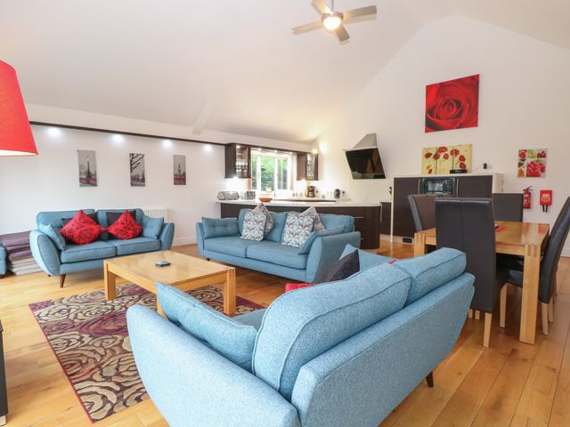 Reedlings - 1164549 - photo 5