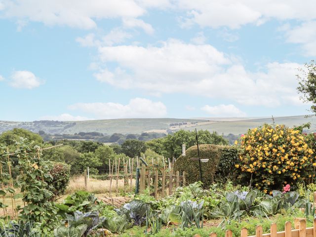 Aunty Junes Cottage - 1165070 - photo 4
