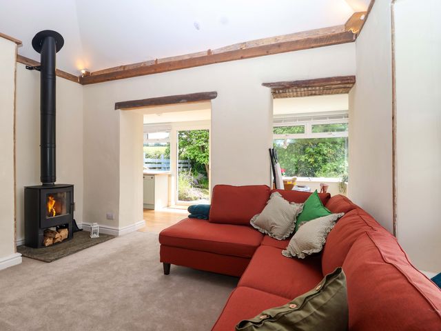 Walnut Major - 1165666 - photo 2
