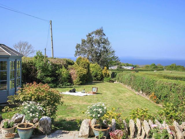 A garden with potted plants and a lawn with a blanket a dog and picnic items at Goleufryn near Llangoed