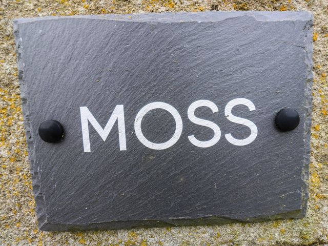 Moss Cottage - 1167166 - photo 3