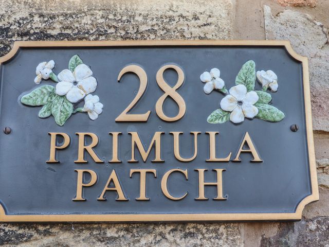 Primula Patch - 1167402 - photo 3