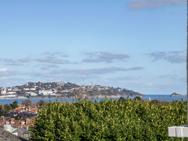 A coastal town with houses trees and a hillside overlooking the sea at Hilltop Cottage in Paignton