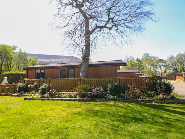 An outdoor view of a lodge with a tree and garden at Dovestone Luxury Lodges (sleeps 4)- pet free, Greenfield