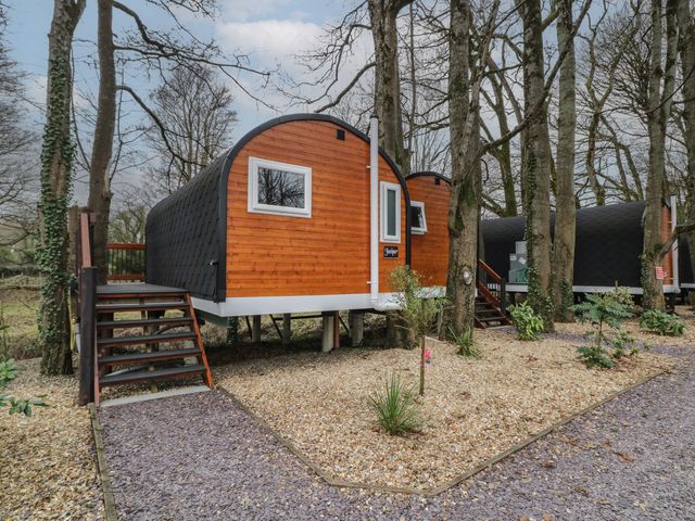 Two wooden pods elevated on stilts between trees with stairs leading to the entrances at Juniper in Dungiven Londonderry