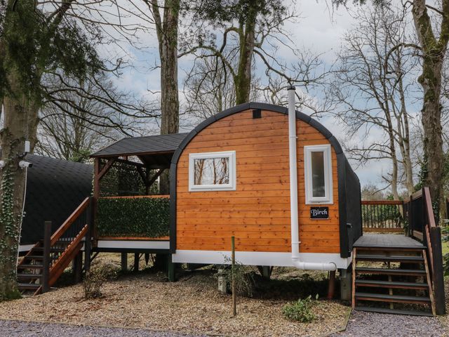 A wooden pod elevated on stilts with stairs on each side surrounded by trees at Birch in Dungiven Londonderry