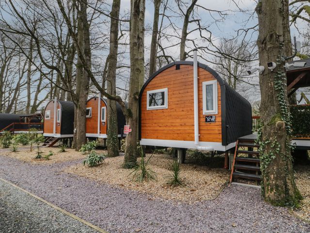 Small wooden cabin pods elevated on stilts among trees with gravel paths at Yew in Dungiven Londonderry