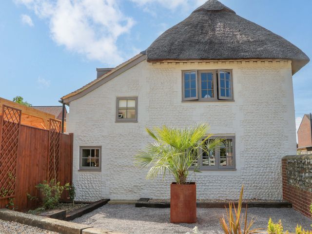 A house with a thatched roof and a palm plant in a pot at Spring Cottage in Arundel, West Sussex